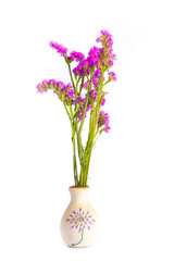 The Flower in vase Close up white background	