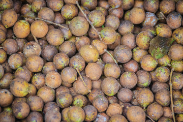Ceylon Oak fruits or Kusum fruits (Schleichera oleosa) for sale at the local market. Schleichera oleosa, in Thailand this fruit is known as takhro or kho.