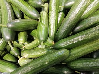  fresh cucumbers