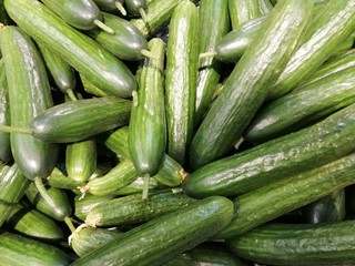  fresh cucumbers