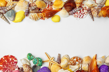 Composition of exotic seashells