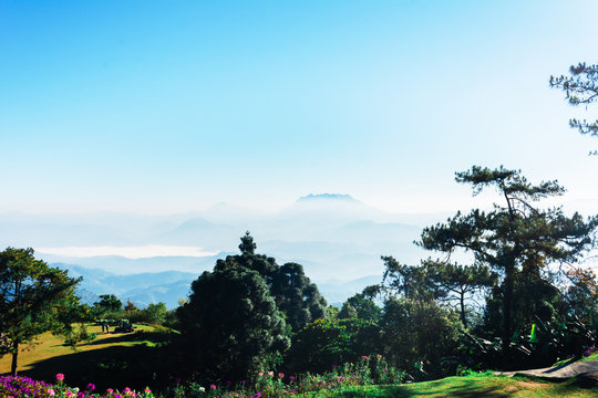View point of Tree, fog and mountain scen eat Huai Nam Dang National Park,Chingmai, Thailand © yupachingping