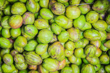 Green Chebulic Myrobalans fruits (Terminalia chebula) for sale at the local market. Terminalia chebula is herbal fruit and found throughout South East Asia.