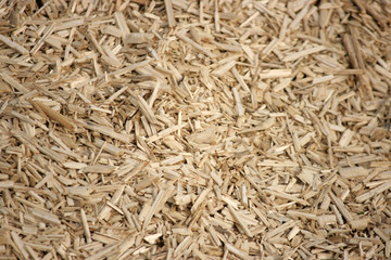 Paillage au jardin avec paillis de lin