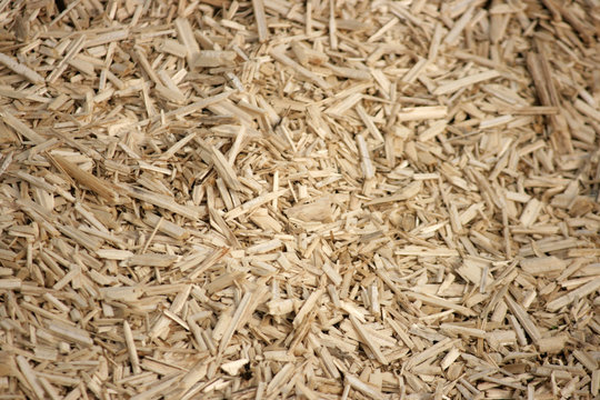 Paillage au jardin avec paillis de lin