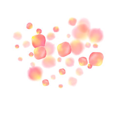 Rose gold petals flying cosmetics vector background.