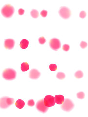 Pink rose petals falling vector valentine background.