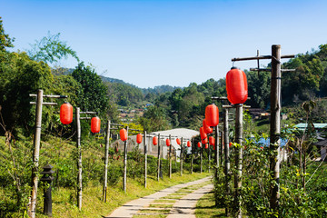 Fototapeta na wymiar Beautiful scenery Chinese village among tea field, Mae Hong Son in Thailand