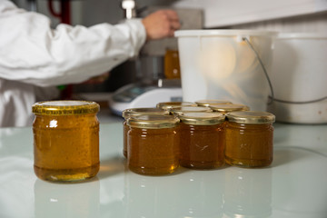 Hives in an apiary with bees flying to the landing boards. Apiculture