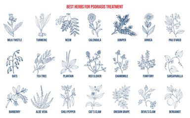 Fototapeta na wymiar Best natural herbs for psoriasis treatment