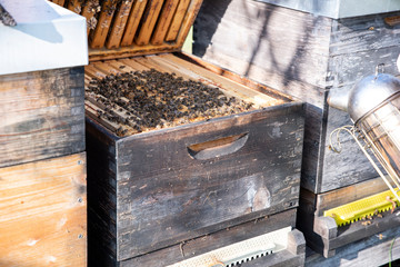 Hives in an apiary with bees flying to the landing boards. Apiculture