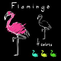 Pingo Flamingo