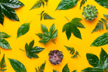  Green plant on the yellow background. Retro vintage style.