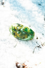 unusual yellow-green handmade soap, macro photo in winter on the snow, malachite stone