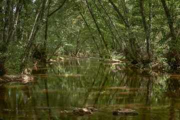 Ribera de Huesna, Cazalla de la Sierra. Seville