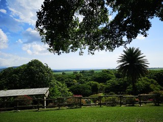 Fototapeta na wymiar Mauritius Landschaft