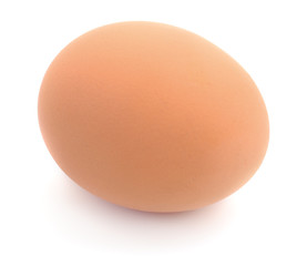 One brown egg.