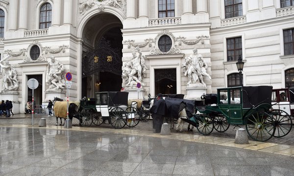 Carts on the streets. Fiacre. Coach. Horse-drawn carriage in the city. Pair of horses. Vienna. Austria