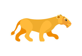 Side view of standing lioness, wildlife animal, single mammal and mascot of zoo. Predator and dangerous cat, flat element of pride, closeup of beast vector