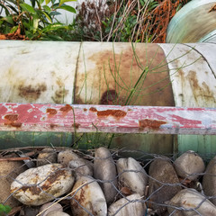 rusty tube outdoor with plants and stones.
