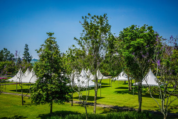 white tent on the green park empty with big green tree - photo indonesia