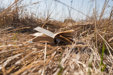 Open book on dry grass on a sunny day