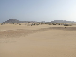 Fototapeta na wymiar Paysage de désert aux Iles Canaries à Fuerteventura avec des dunes de sable
