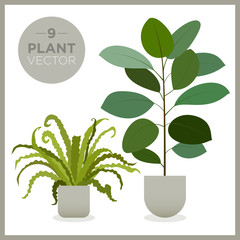 set of vector green plants illustrations