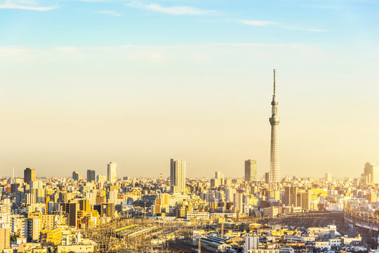 city skyline aerial view in Tokyo, Japan © voyata