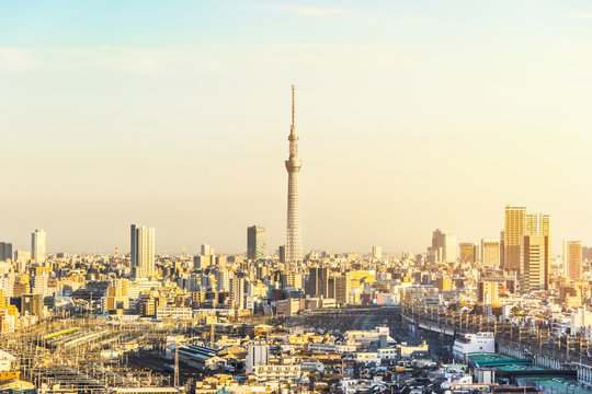 city skyline aerial view in Tokyo, Japan © voyata