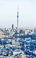 city skyline aerial view in Tokyo, Japan