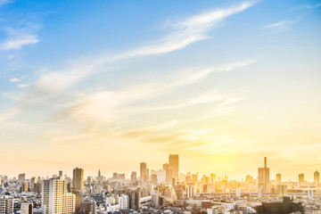 city skyline aerial view in Tokyo, Japan