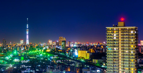 Fototapeta na wymiar city skyline night aerial view in Tokyo, Japan