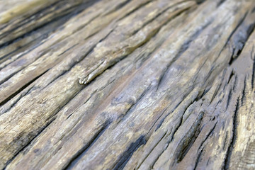 Obraz premium Rustic weathered wood background