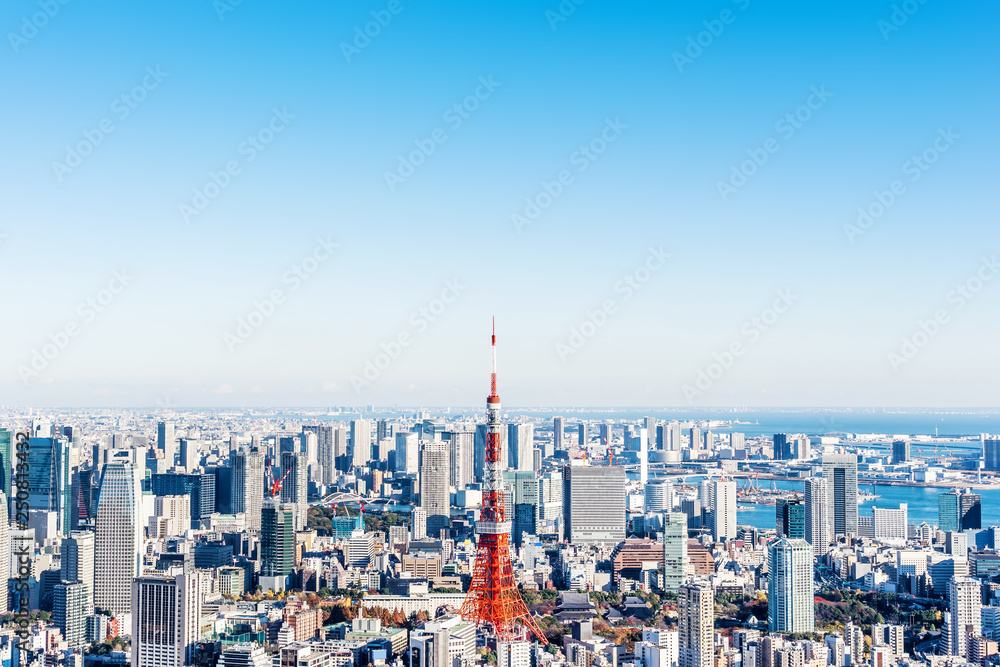 Wall mural tokyo tower aerial view in tokyo, japan