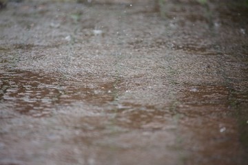Rain drops falling on the road.