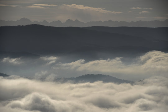 Panorama of the Tatra Mountains from the top of Ćwilin in Beskid Wyspowy, Poland