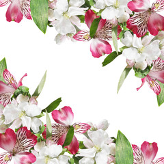 Beautiful floral background of Alstroemeria and Apple blossom. Isolated 