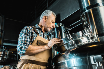 professional senior brewer in overalls working with brewery equipment