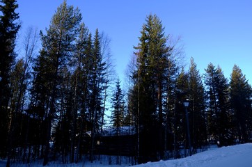 Campagne autour de la ville de Levi (Laponie finlandaise)