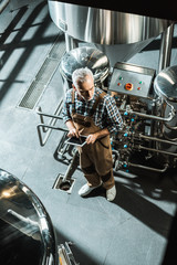 Plakat overhead view of male professional brewer using digital device in brewery