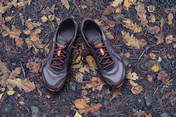 Top view of gray and orange trainers on a autumn leaf background.