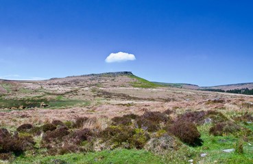 Lone Cloud in the Landscape
