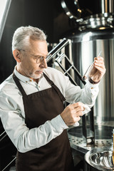 professional brewer examining beer in tube in brewery