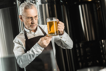 handsome senior brewer examining beer in glass in brewery