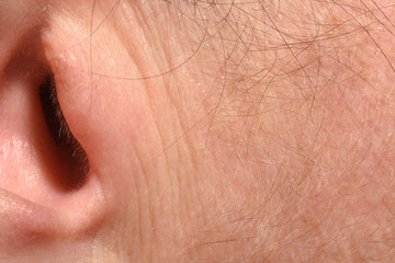 Wrinkles due to age in the ear of a 43-year-old woman