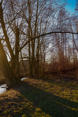 Entwässerungsgraben fließt an den Bäumen entlang