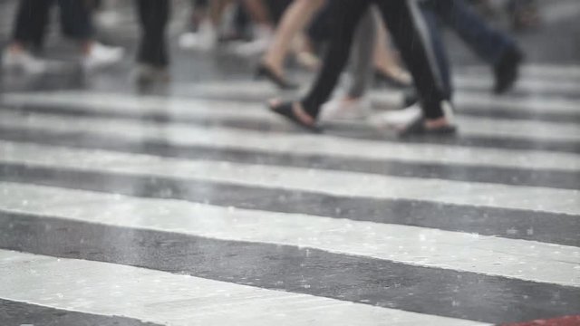 People run in the rain. Rain. Close-up of raindrops falling on a pedestrian crossing. Pedestrian crossing in a big city. Rainy day. Wet from the rain asphalt. Many different shoes.