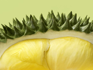 Fresh cut durian on a pastel green background, king of fruit from Thailand, close up