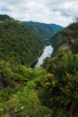 Fototapeta na wymiar Whanganui River